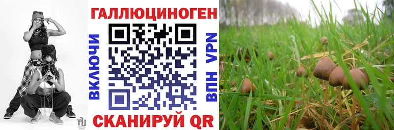 где купить наркотик  Ардон  Псилоцибиновые грибы Psilocybine cubensis 